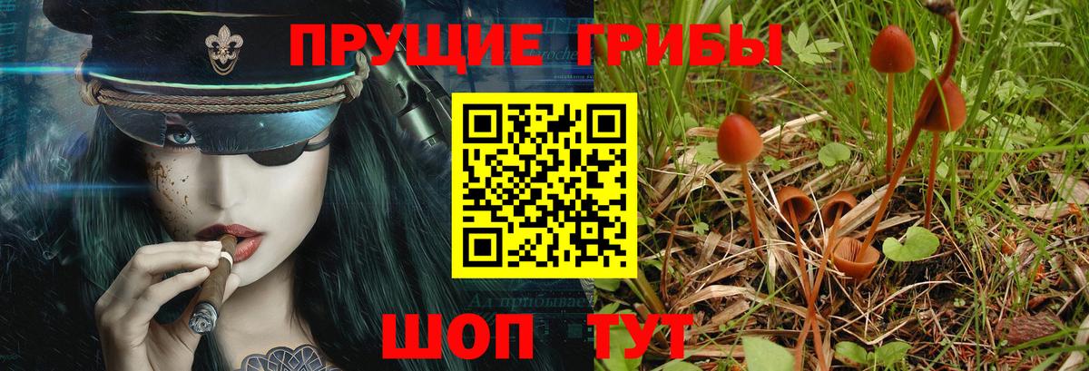 Галлюциногенные грибы MAGIC MUSHROOMS Дагестанские Огни