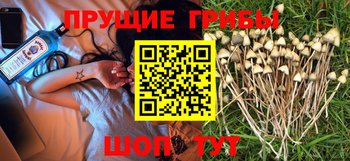 даркнет сайт  Вход с VPN  Дагестанские Огни  Галлюциногенные грибы ЛСД  Галлюциногенные грибы MAGIC MUSHROOMS 